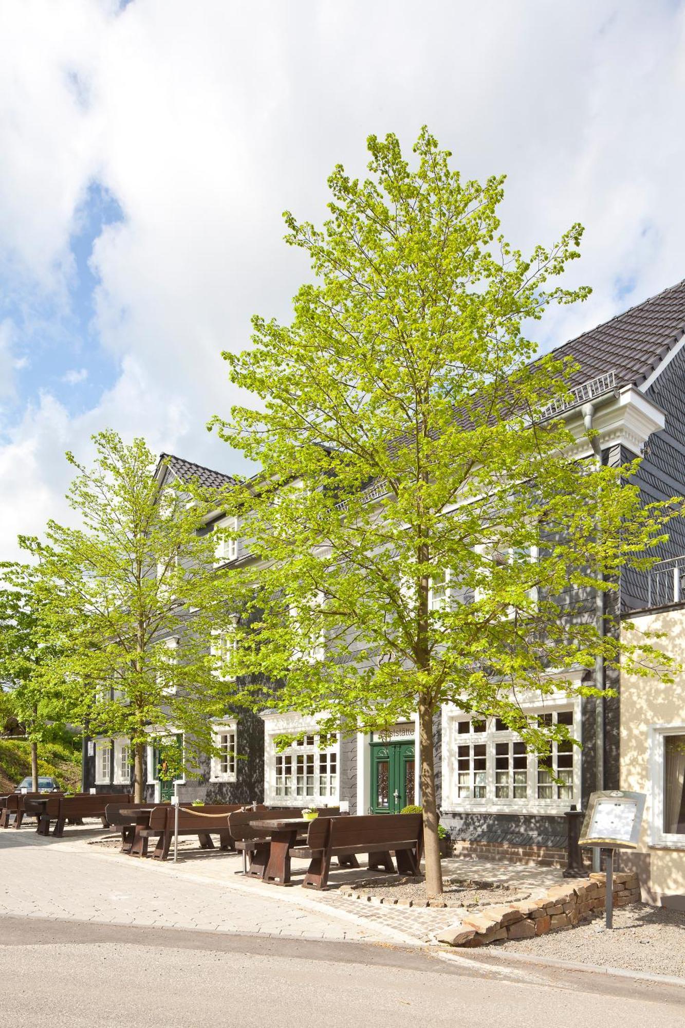 Zu Den Drei Linden Hotel Wermelskirchen Exterior photo